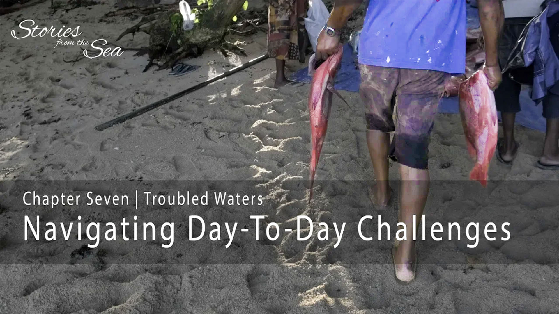 Stories from the Sea - Episode 7