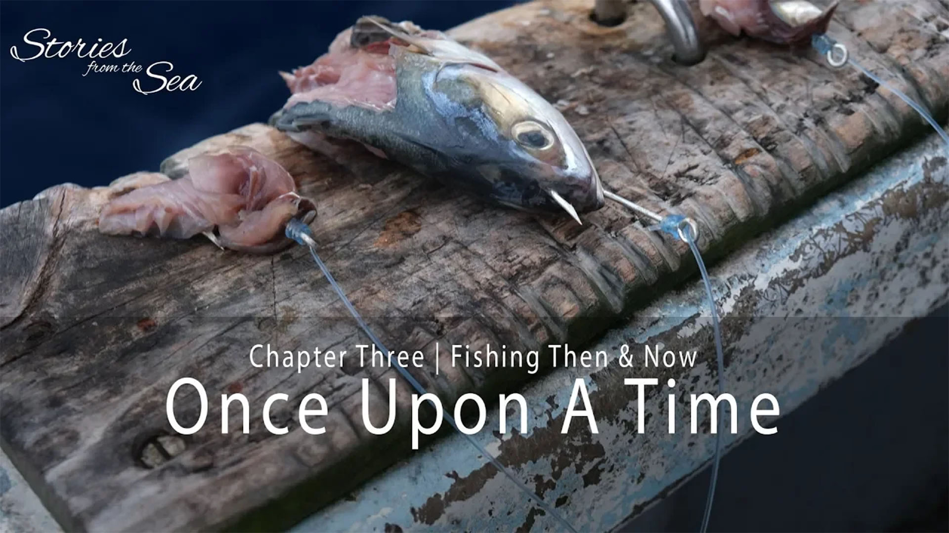 Stories from the Sea - Episode 3